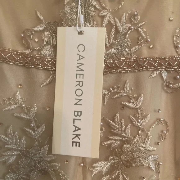 Gorgeous champagne mother-of-the-bride dress - Picture 7 of 7